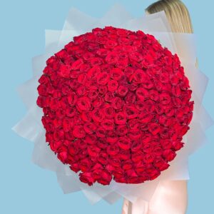 200 red rose bouquet high quality premium with love باقة فاخرة وعالية الجودة مكونة من 200 وردة حمراء، مُقدمة بكل حب.