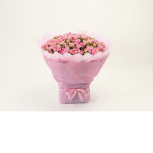 50 Pink Baby Bloom Pink Silk Wrapping (50 زهرة بيبي ببيّات وردية مع تغليف حرير وردي)